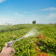 High Pressure Car Wash Spray Gun Garden Water Gun Sprinkler with Nozzle Foam Pot