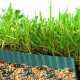 Lawn Garden Border Edging Flexible PVC Landscape Edging for DIY Flower Bed Fencing - 10cm x 9m