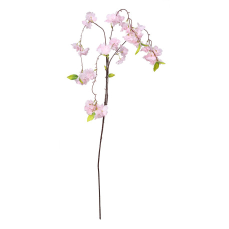Essential Dark Pink Weeping Cherry Blossom