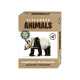 Build Your Own Clockwork Animal (Assorted)