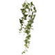 Holland Ivy Vine 46 inch