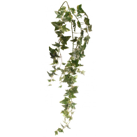 Holland Ivy Vine 46 inch