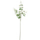 Eucalyptus Spray 92cm