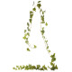 English Ivy Garland Green 1.8M