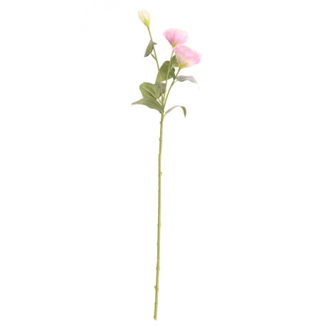 Lilac Lisianthus Spray