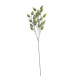 Hops Spray Green 60cm
