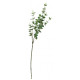 Eucalyptus Green 91cm