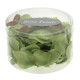 Lime Rose Petals