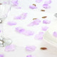 Lilac Rose Petals