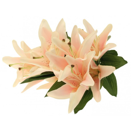Light Pink Lily Bunch