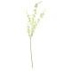 Green Dancing Orchid (88cm)