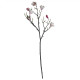 Magnolia Branch Blush Pink