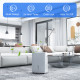30L/Day Dehumidifier with Auto-Clean Filter, Continuous Drainage, 4L Water Tank, 24H Timer, Digital Humidity Display, Dehumidifi
