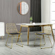 Luxurious Dining Chairs Set of 2, Metal Wire Kitchen Chair with Removable Velvet-feel Cushion, Cut-out Back and Steel Frame for 