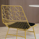 Luxurious Dining Chairs Set of 2, Metal Wire Kitchen Chair with Removable Velvet-feel Cushion, Cut-out Back and Steel Frame for 