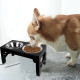 Elevated Dog Bowls 5 Height Adjustable Stand Raised dog bowl with Double Stainless Steel Bowls for Small Medium Large Dogs - Bla