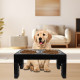 Elevated Dog Bowls 5 Height Adjustable Stand Raised dog bowl with Double Stainless Steel Bowls for Small Medium Large Dogs - Bla
