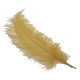 Gold Ostrich Feathers x5