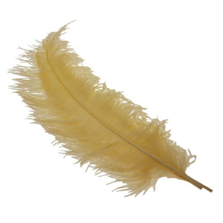 Gold Ostrich Feathers x5