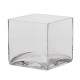Glass Tank (12 x 12)