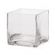 Glass Tank (10 x 10)