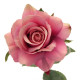 Lavender Rose (42cm)