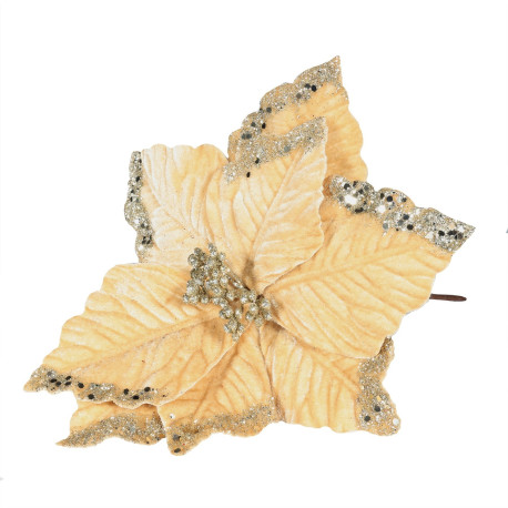 Champagne Velvet Poinsettia with Glitter Edge (Dia24cm)
