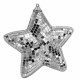 Mirror Star Hanging Decoration (12cm)