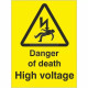 Danger Of Death High Voltage Safety Sign