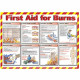 First Aid For Burns Laminated Poster