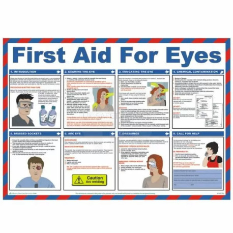 First Aid For Eyes Laminated Poster