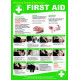 First Aid Poster 420W x 595Hmm - Semi Rigid Plastic