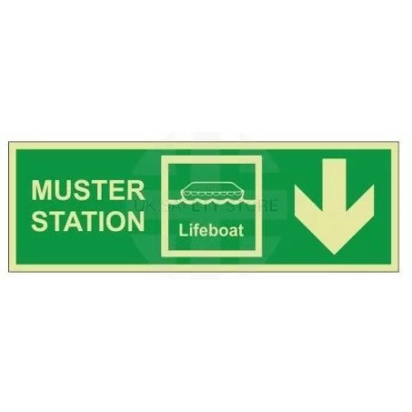 Muster Station Lifeboat Arrow Down Sign - Self Adhesive