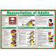 Resuscitation Of Adults Laminated Poster