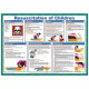 Resuscitation Of Children Laminated Poster