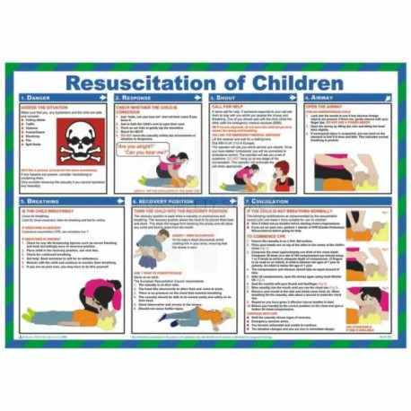 Resuscitation Of Children Laminated Poster