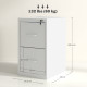 Two-Drawer Modern Steel Filing Cabinet - Cream