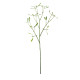 Green Mistletoe Sprig (60cm)