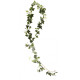 Irish Ivy Garland 6ft