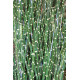 PVC Grass with detail 155cm