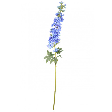 Blue Cottage Garden Delphinium