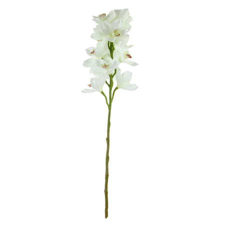 Tintagel Cymbidium Orchid White