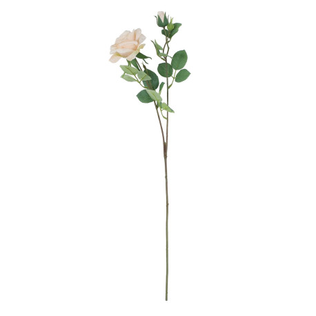 Tintagel Spray Rose Cream