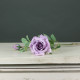 Tintagel Spray Rose Lavender