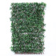 Exterior UV Resistant Expandable Choisya Trellis