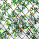 Exterior UV Resistant Expandable Privot Trellis
