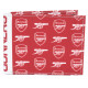 Arsenal FC Coloured Icon Wallet