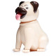Collectable Solar Powered Pal - Mopps Pug