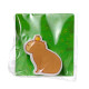 Eraser - Capybara