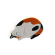 Eraser - Cat Nap Time